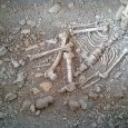 La réplique du squelette en position foetale
